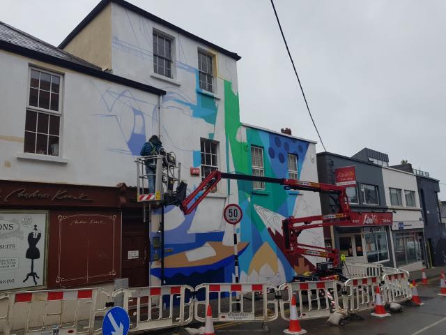 Decoy work in progress Dun Laoghaire Anseo