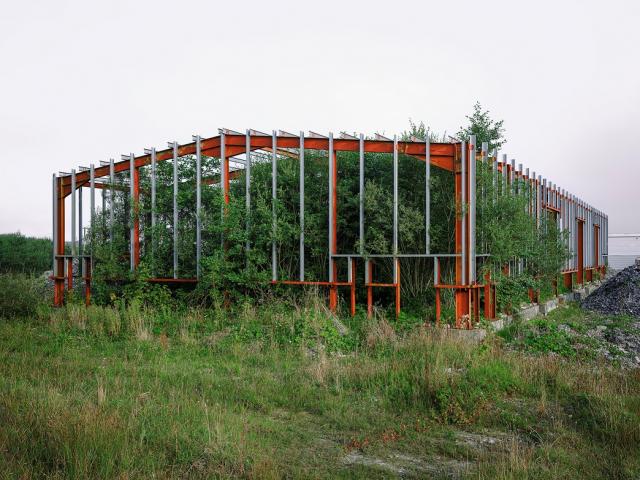 photo by Conor Horgan. Title, flag no 166. Unfinished steel building frame with wild plants growing inside.