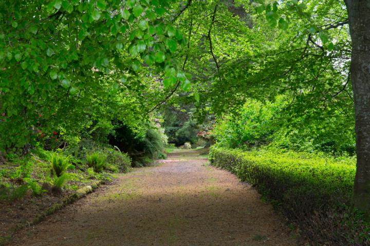 Fernhill Park Fernhill Park