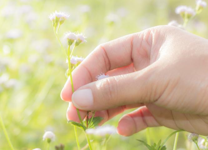 seen savers thumbnail