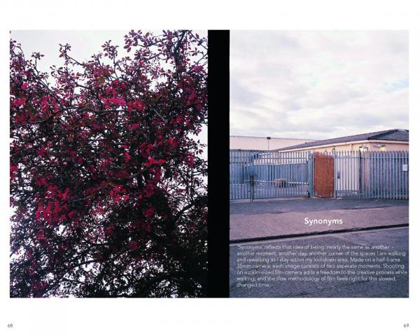 Two photographs are next to each other. The left is a tree with pink flowers. The right is a metal fence with a warehouse behind it. There is a text description of the word &quot;Synonym&quot; over the picture on the right.