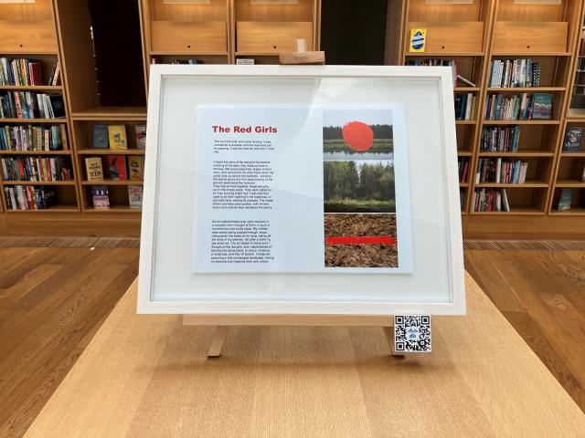 A framed picture is on top of a library bookcase. It contains an image that is one half photos of the countryside with red marks over and the other half is the text of the Red Girls.