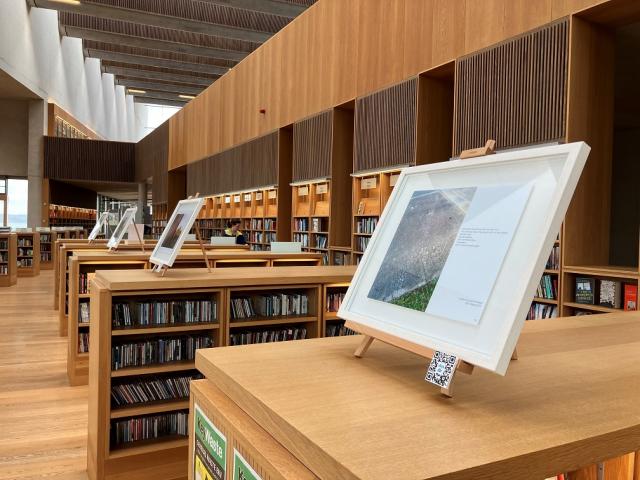 Four frames artworks on top of separate library bookshelves in dlr Lexicon Library.