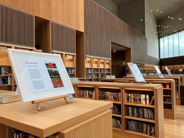 A framed picture is on top of a library bookcase. It contains an image that is one half photos of the countryside with red marks over and the other half is the text of the Red Girls.