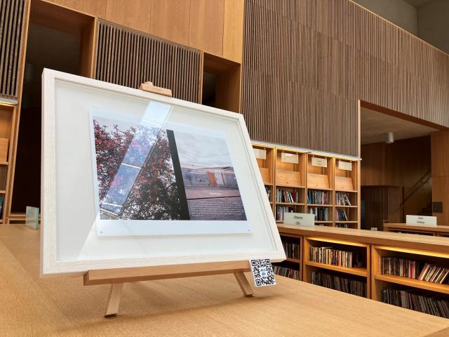 A framed picture is on top of a library bookcase. It contains an image of two photos. One is a tree with pink flowers and the other is a warehouse gate.