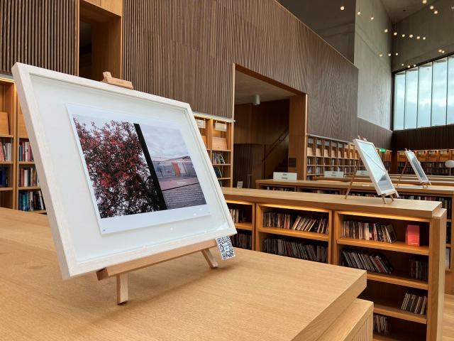 A framed picture is on top of a library bookcase. It contains an image of two photos. One is a tree with pink flowers and the other is a warehouse gate.