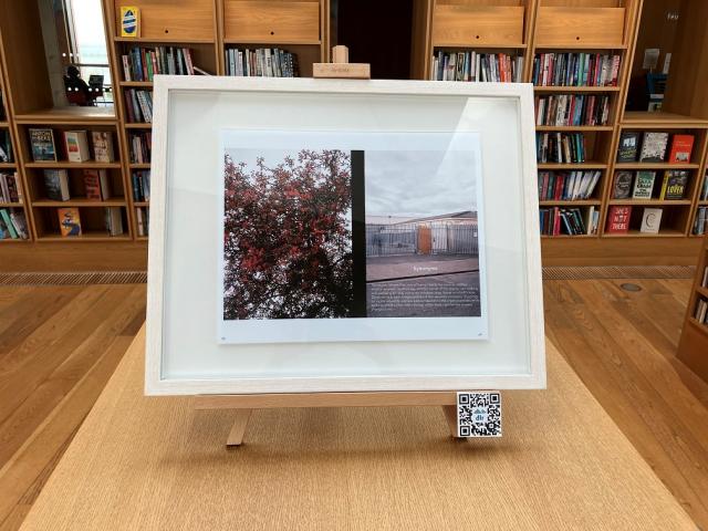 A framed picture is on top of a library bookcase. It contains an image of two photos. One is a tree with pink flowers and the other is a warehouse gate.