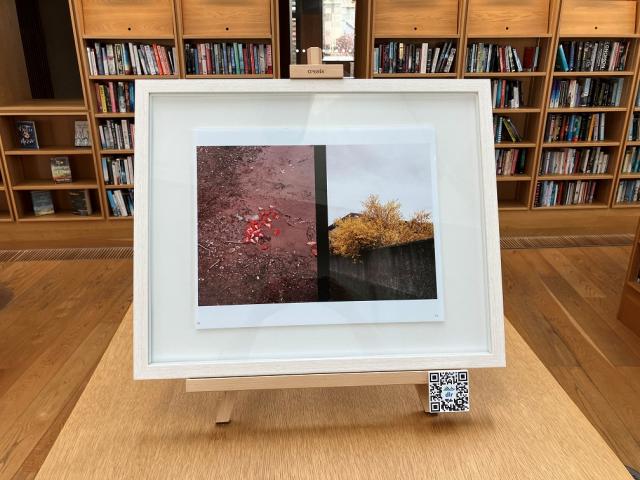 A framed picture is on top of a library bookcase. It contains an image of two photos. One is a muddy puddle with spilled strawberries in it and the other is a yellow tree popping out over a wall.