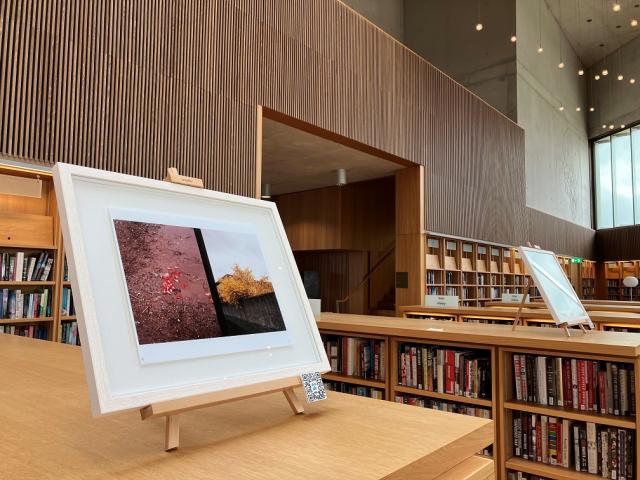 A framed picture is on top of a library bookcase. It contains an image of two photos. One is a muddy puddle with spilled strawberries in it and the other is a yellow tree popping out over a wall.