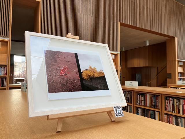 A framed picture is on top of a library bookcase. It contains an image of two photos. One is a muddy puddle with spilled strawberries in it and the other is a yellow tree popping out over a wall.