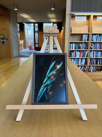 A frames photo of a long leaf at night is on an easel on top of a bookshelf in the Lexicon Library.