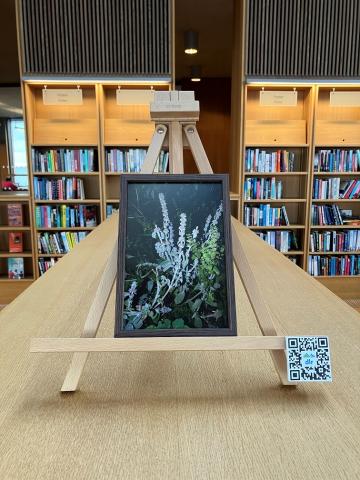 A framed photo of flowers taken at night is on an easel on top of a bookshelf in the Lexicon Library.