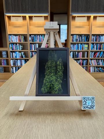 A framed photo of a cyprus tree at night is on an easel on top of a bookshelf in the Lexicon Library.