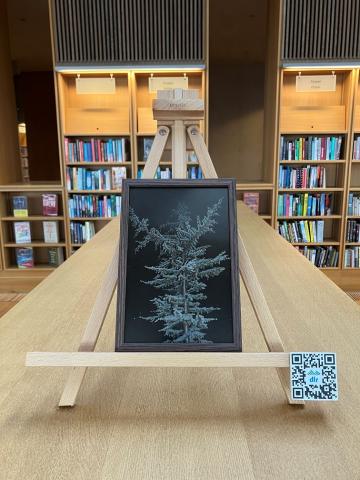 A framed photo of a tree at night is on an easel on top of a bookshelf in the Lexicon Library.