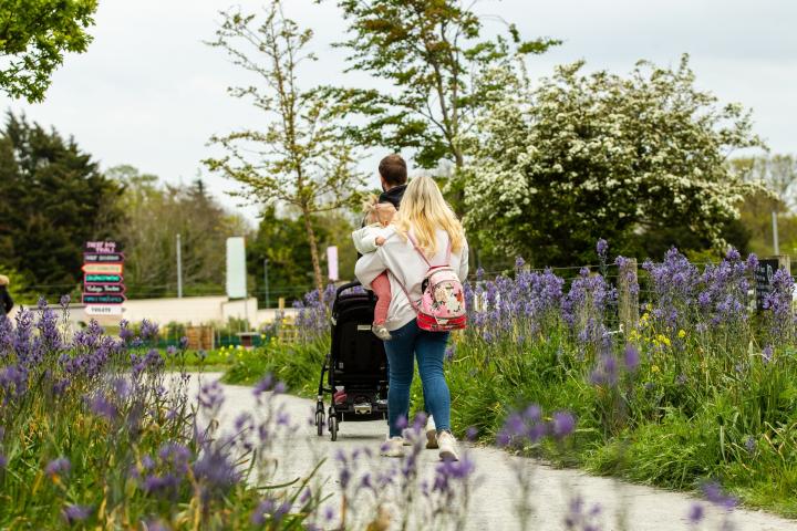 Airfield House &amp; Gardens - Urban Farm at Dundrum.