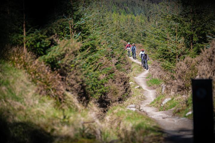 Biking.ie - Bike rental, cafe &amp; trails at Ticknock