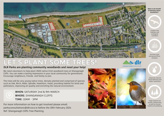 Tree planting in Shanganagh Cliffs