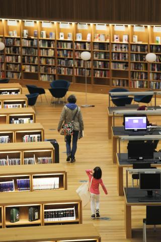 The LexIcon Library & Cultural Centre, Dun Laoghaire Co Dublin.