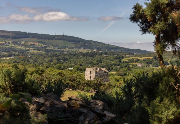 Pucks Castle ruins at Rathmichael Wood, Co Dublin
