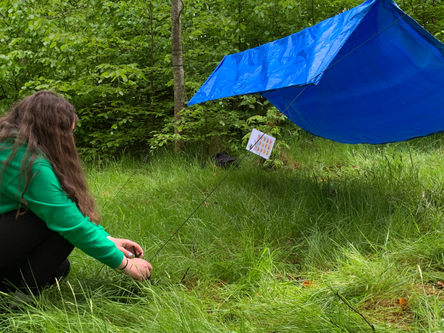 Forest Kids at Glencullen - Building childrens understanding of the outdoors &amp; basic survival skills