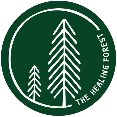 Forest Bathing - The Healing Forest at Kilternan