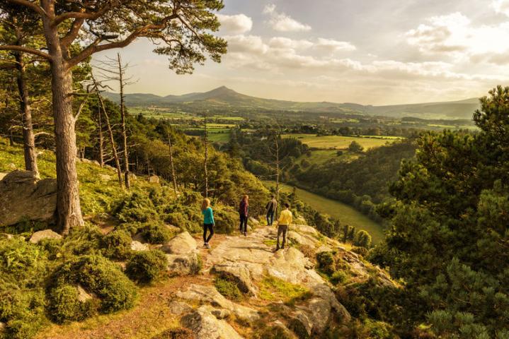 The Scalp viewpoint at Barnaslinga Wood Co Dublin