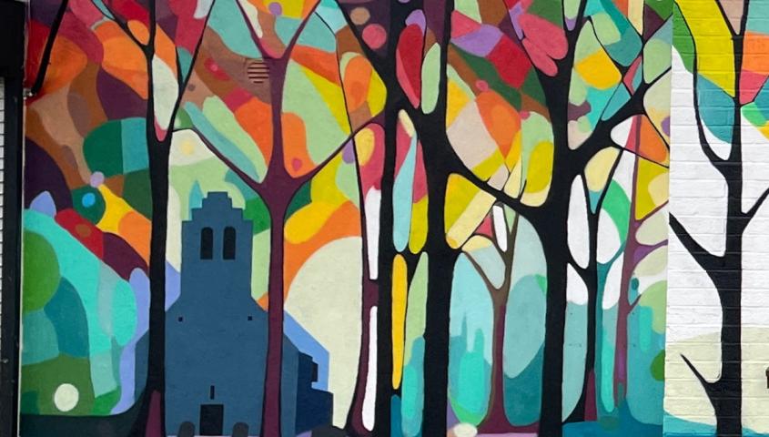 dlr Anseo is looking for Walls