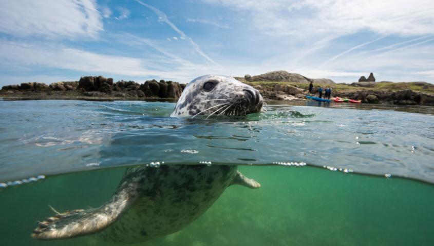 Cllrs Adopt Climate Action Plan