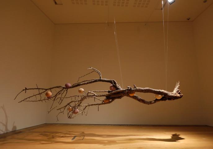 a large hawthorn branch is suspended by fishing line which is barely visible. The branch hangs about 1metre off the ground in the centre of the Gallery. It is dotted and pierced with cotton and sheep’s wool, hand dyed with hawthorn leaves, blackberries, elderberries, briars, pinecones and bracken ferns. It is lit from above by spotlights.