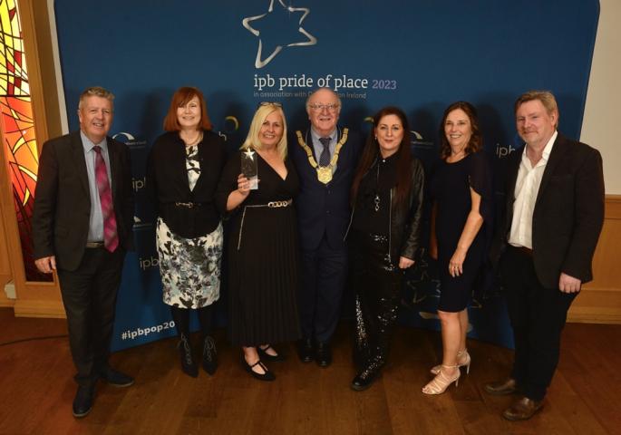 Hillview-Estate-Ballinteer-Dublin-DLR-Council-Area- Runner Up 2023