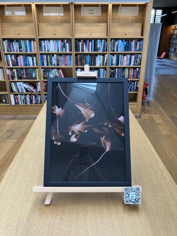 A chest height bookcase in dlr Lexicon Library with a framed artwork by Jonathan Brennan on top. The frame is black and the artwork is of leaves scanned on a printer flatbed