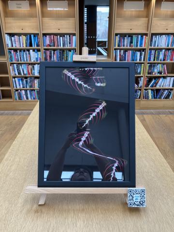 A chest height bookcase in dlr Lexicon Library with a framed artwork by Jonathan Brennan on top. The frame is black and the artwork is of leaves scanned on a scanner flatbed