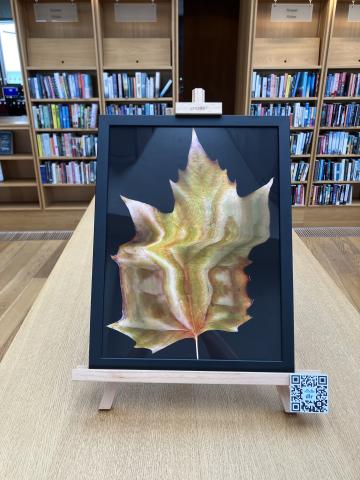 A chest height bookcase in dlr Lexicon Library with a framed artwork by Jonathan Brennan on top. The frame is black and the artwork is of a leaf scanned on a scanner flatbed. the leaf has been moved during the scan to distort the image