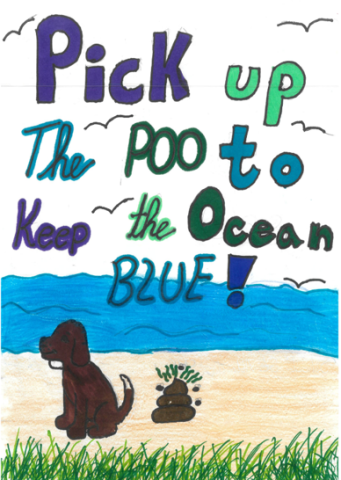 Dog fouling awareness poster from St. Brigid's BNS with the slogan: Pick up the brown turn the frown upside down