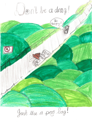 Dog fouling awareness poster from St. Brigid's BNS with the slogan: Just use a poo bag