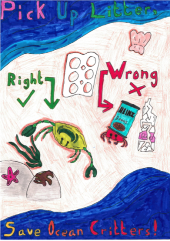 Dog Fouling poster featuring a crab on the beach with plastic litter surronding with the slogan:Pick up llitter save ocean critters!