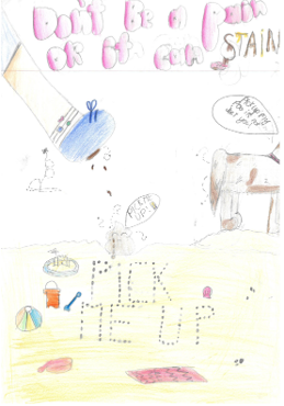 Dog Fouling poster featuring a dog poo on the beach with a shoe stepping on it. pick me up is written with pebbles on the beach. with the slogan: Dont be a pain or it can stain