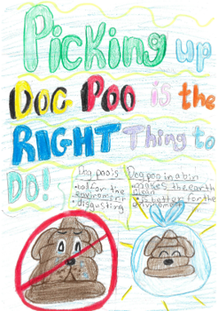 Dog Fouling postera poo with a sad face and a dog poo with ahappy face once it is in a bag.with the slogan: picking up the dog poo is the right thing to do