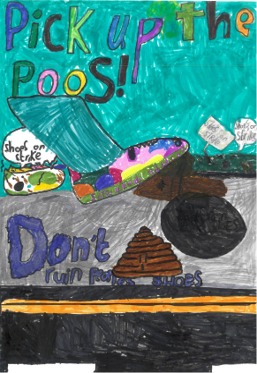 Dog Fouling poster featuring shoe about to step in poo with the slogan: Pick up the poos dont ruin my shoes
