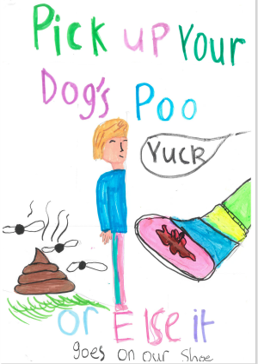 Dog Fouling poster featuring a panel with a person near a poo and a panel with a shoe that has stepped in poo bin with the slogan: Pick up your dog's poo or else