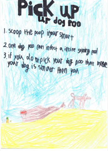 Dog fouling awareness poster from Oliver Plunkett Special School  with the slogan: Pick up your dog poo