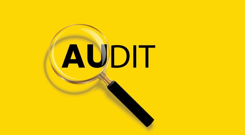 Audit logo