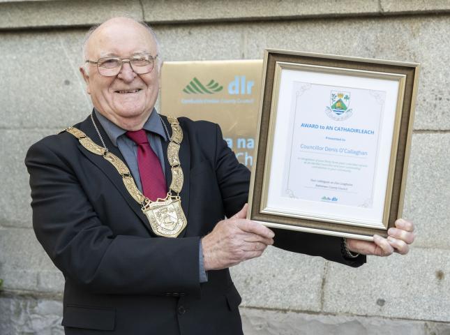 Cathaoirleach Awards 2024