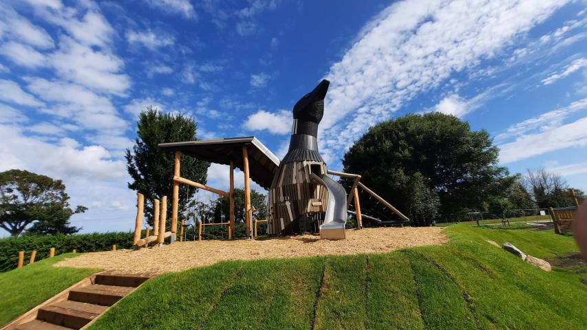 Blackrock Park Goose