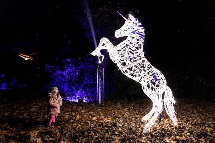 Wonderlights Marlay Park