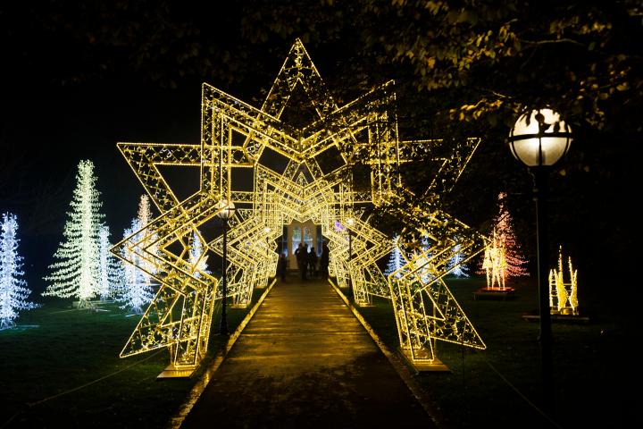 Wonderlights Marlay Park