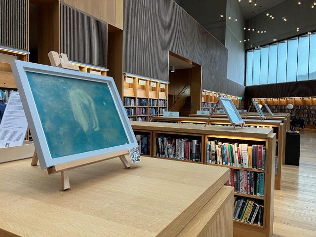 a blue artwork is on top of a chest height wooden bookcase next to other bookcases in a tall bright library