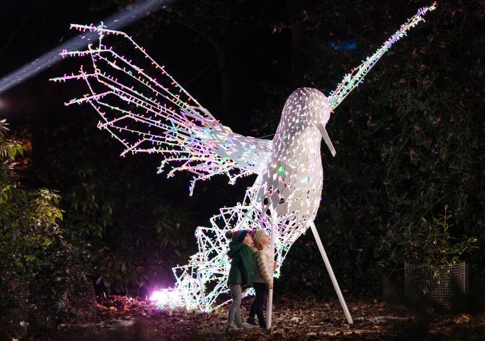 Wonderlights Marlay  Park