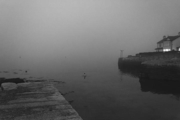 a dark and grainy photograph of a swimmer in a harbour at low light. The image was taken from a short pier, the other side of the pier and a building are visible int he background.