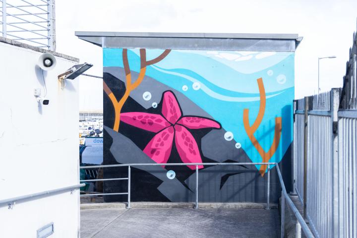 DL Marina - Dan Leo - DLR Anseo Street Art 2024